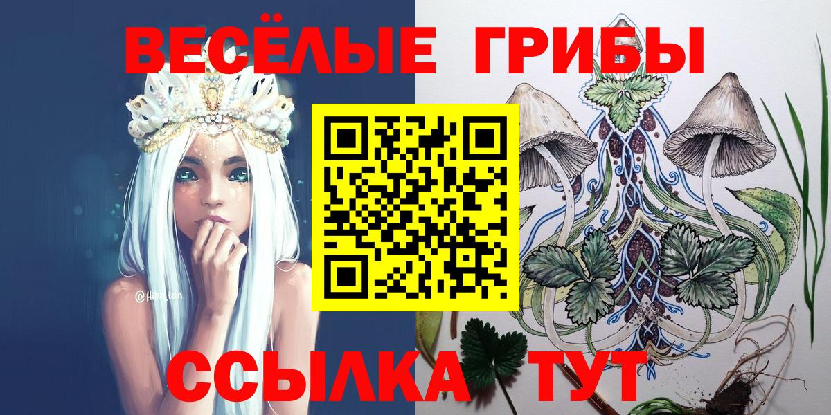 Псилоцибиновые грибы мицелий  Псилоцибиновые грибы мицелий  Тамбов  Вход с VPN 